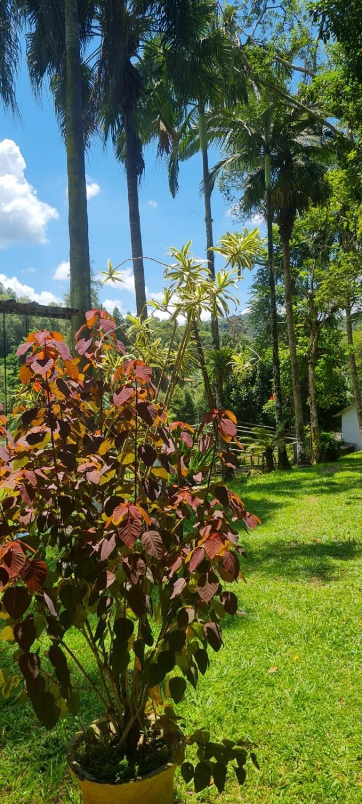 茹基蒂巴Sitio Saramandaia别墅 外观 照片